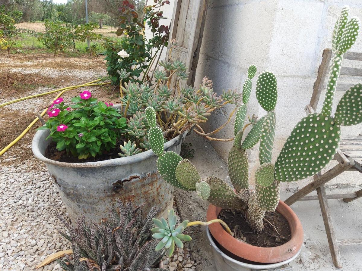 Casetta Vacanza In Campagna Aradeo Exterior foto